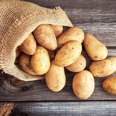 ASSOL Kartoffelsamen 0,02g Bio gute Ernte Garten weltweiter Versand