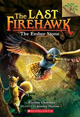 The Ember Stone: A Branches Book (t..., Charman, Katrin