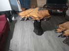 Picture 4 of 9