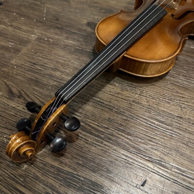 Roderich Paesold 803 4/4 バイオリン　1995年製 Roderich Paesold violin, 803E, Strad model, 2021, GERMANY