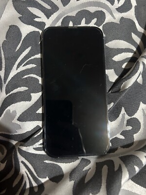iPhone 13 Pro Max  With Tik Tok
