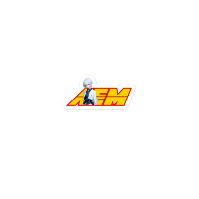 AEM Electronics Vinyl Sticker Decal 