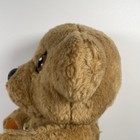 Bild 16 von 22