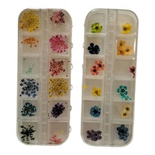 Dry Dried Flowers Nail Art Decorations Encapsulated 2 boxes pset