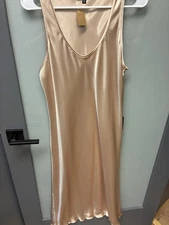 NWT Express Satin Slip Dress in Nude -  Size M