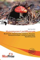Niek Yoan | Hypomyces Lactifluorum | Taschenbuch | Englisch (2026)