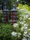 Foto 19 di 21