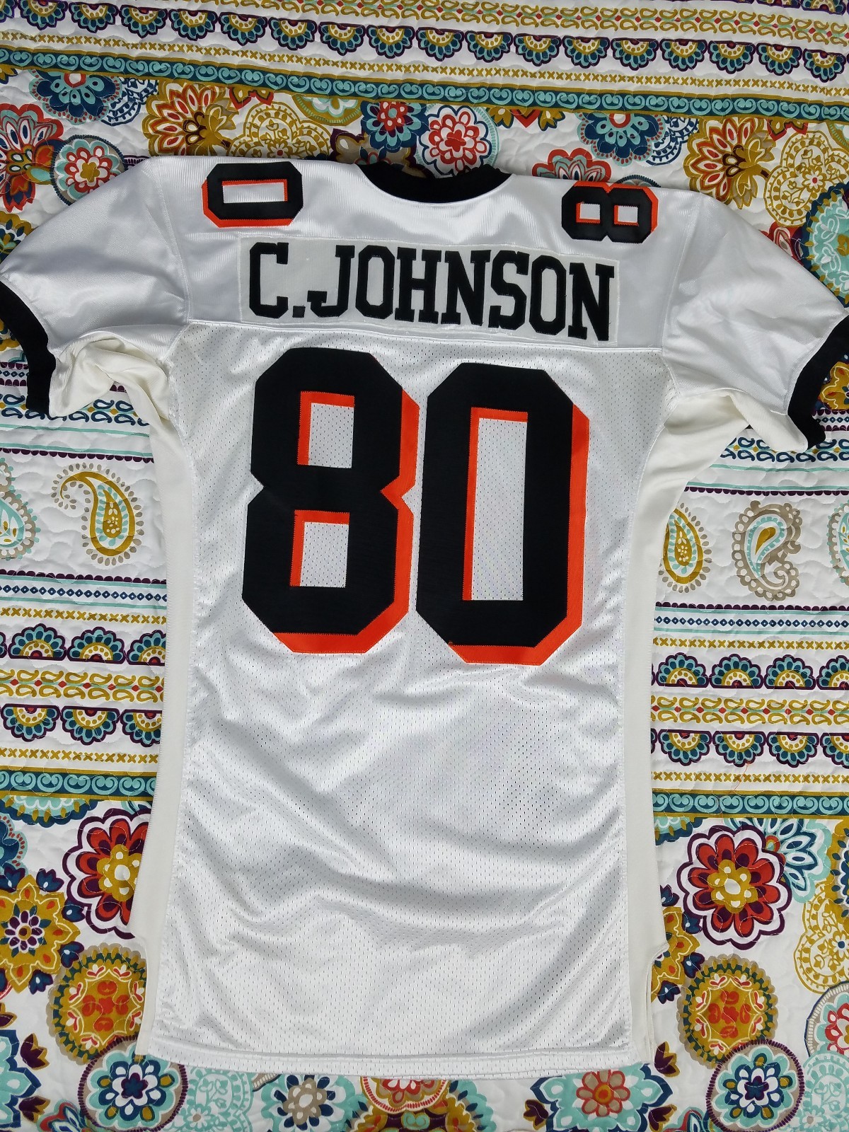 2) OSU OREGON STATE BEAVERS Vintage Embroidered Iron On Patches - Foto 10