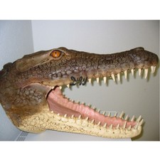ALLIGATOR KROKODIL KOPF 77 cm Deko Figur Tier Wand Kroko JAGDTROPHÄE Gartenteich
