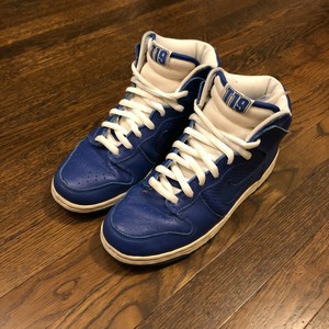 t19 dunk sb