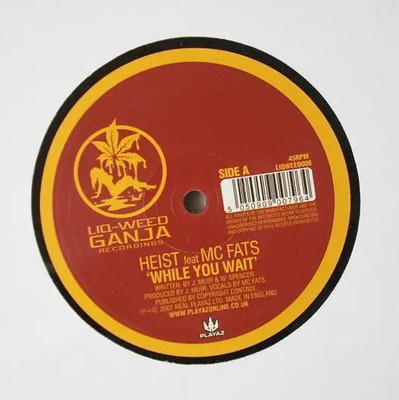 Heist / Strider Feat MC Fats While You Wait / Rollin Good Vinyl Single 12inch