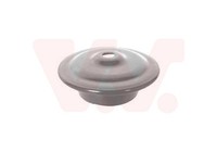 VAN Wezel Federteller 5824399 FüR VW 6V2 Classic Polo 6N1 Seat 3 Variant 6V5 6N2