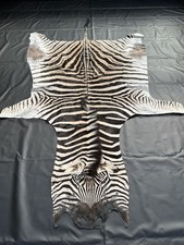 Burchell Steppenzebra Zebrafell aus Südafrika - 3,05 m L x 1,70 m B *NEU*