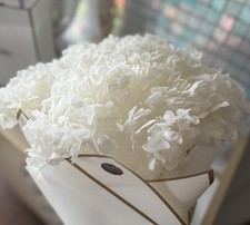 Preserved hydrangea