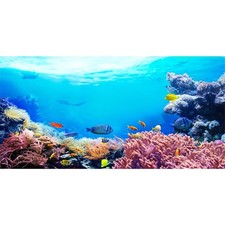 30x18 in Underwater Coral Aquarium Backdrop Tropical Fish Tank Background A...