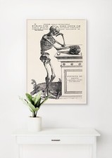 Andreas Vesalius: Menschliche Anatomie Druck ...