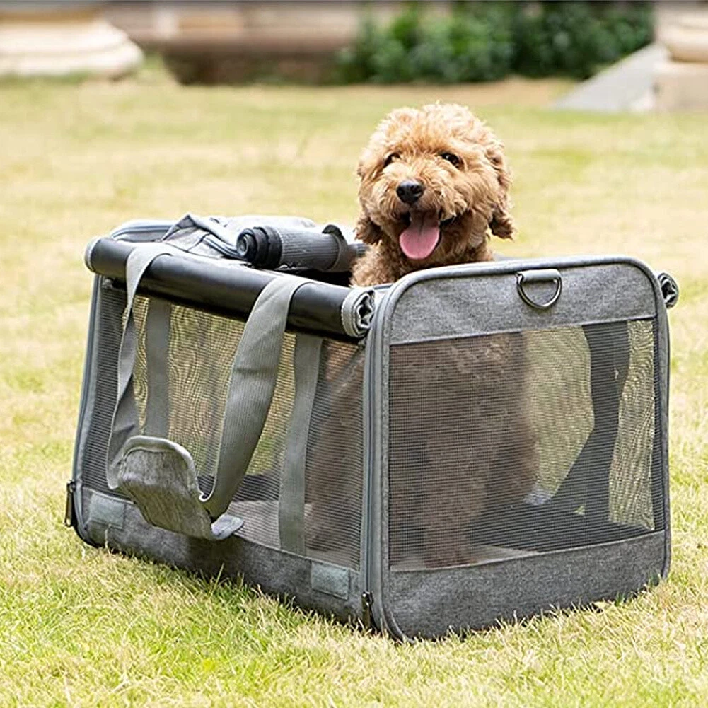 Dog sling petco top
