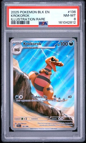 Krokorok graded PSA 8 for sale on eBay