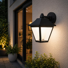WiZ Smart Outdoor Wall Light 16 Million Colours WiFi App Voice Control 1000lm