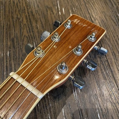 Morris MD-507 Acoustic Guitar | eBay