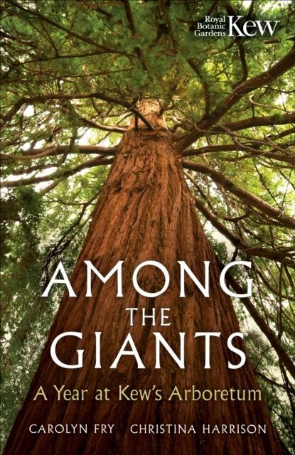 Among the Giants: A Year at Kew's Arboretum by Kew Gardens