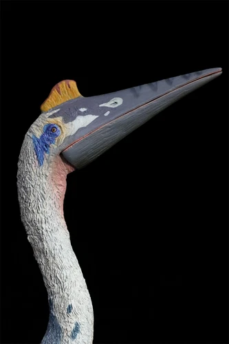 TNG Quetzalcoatlus Model Jurassic Dinosaur Animal Figure Toys Xmas Gift Decor - Picture 17 of 24