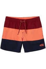O'Neill Boys' Swim Shorts/Water Shorts/Board Shorts BLOCK SHORTS,...