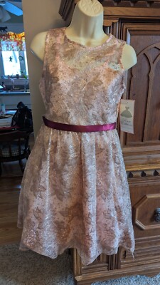 rare editions pink dress Rare Editions Big Girls Sleeveless Floral Embroidered Appliqued Fit-And-Flare Dress