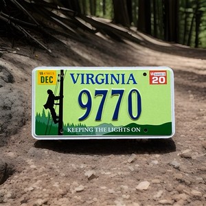Virginia, Keeping The Lights On specialty license plate