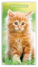 Cuddles pour chaton | 2027-2028 3,5 x 6,5 pouces planificateur de poche mensuel deux ans...