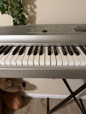 Yamaha DGX-500 Portable Grand 88-Key /W Stand | eBay