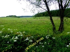 Photo 6x4 Envagh Townland Bellway Looking north-east c2015