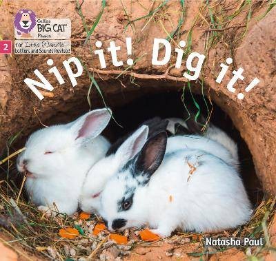 Nip it! Dig it!, Natasha Paul,  Paperback
