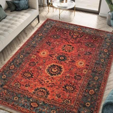 3x5 Rug - Machine Washable Entry Rug with Non-Slip Backing, Ideal for Enteryw...