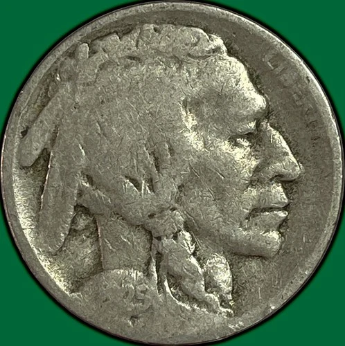 1925-S Buffalo Nickel Good G Coin #34689