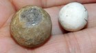 2 Old Native American Indian Artifact Stone Game Balls Marble  Arrowhead A-23 — photo 3