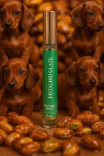 bath and body works Pistachio Glaze perfume travel spray .23 fl oz