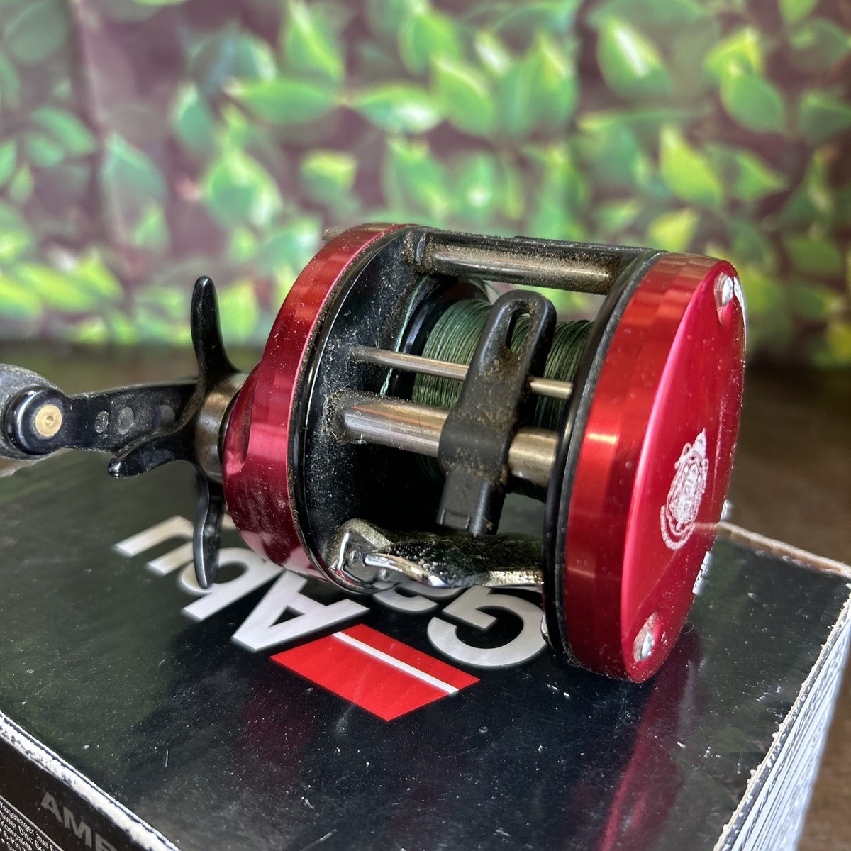 abu garcia ambassadeur 5600 sx Ambassadeur STX Round Reel Abu Garcia Ambassadeur SX Round Baitcast Reels were designed to provide power and reliability at an affordable value Abu Garcia AMBSX-5600 Ambassadeur SX