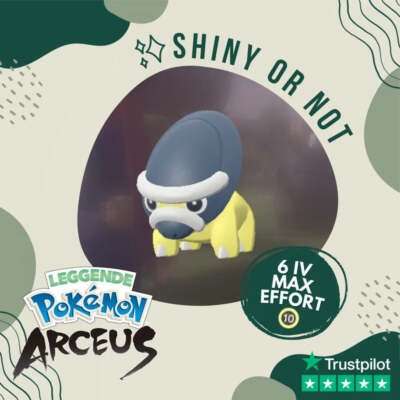 Shieldon Shiny   Legends Pokémon Arceus 6 IV Max Effort Custom OT Leggende