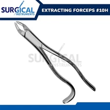 Extracting Forceps Dental Surgical Instruments #10H Stainless Steel German Grade