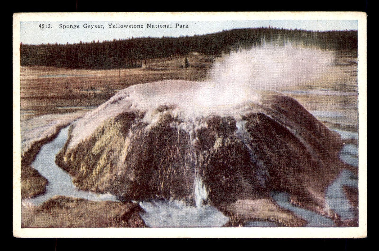 Sponge Geyser, Yellowstone National Park, Wyoming, WY
