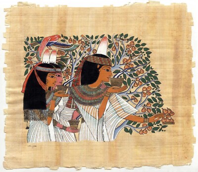 Hand Painted Signed Papyrus Harvesting Figs. Souvenir from Egypt.