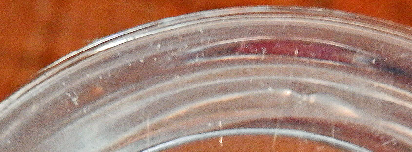 Picture 5 of 5