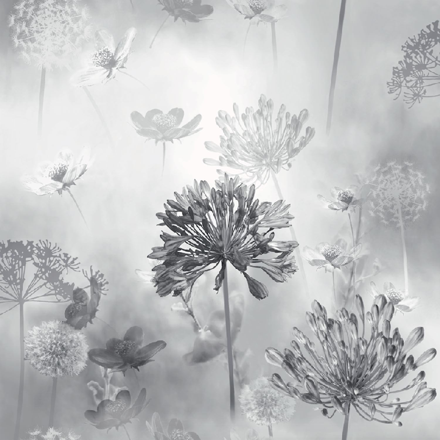 Floral Buttercup Dandelion Arthouse Spring Meadow Mono Wallpaper 697401
