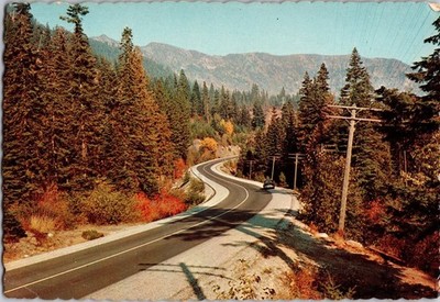 Autumn Stevens Pass Washington Cascade Mountains Winding Road Chrome Postcard