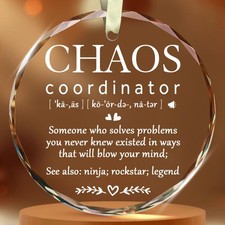 BSQUIELE Chaos Coordinator Ornament - Gifts for Coworker - 3.1 inch,