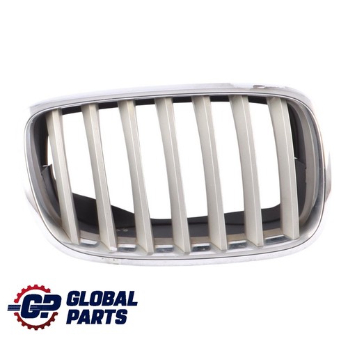 BMW X6 E71 Kühlergrill Vorne Niere Silber Rechts 7171396