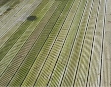 Wooden Deck Cleaner (100g enough for 5 litres) revives decking; removes algae