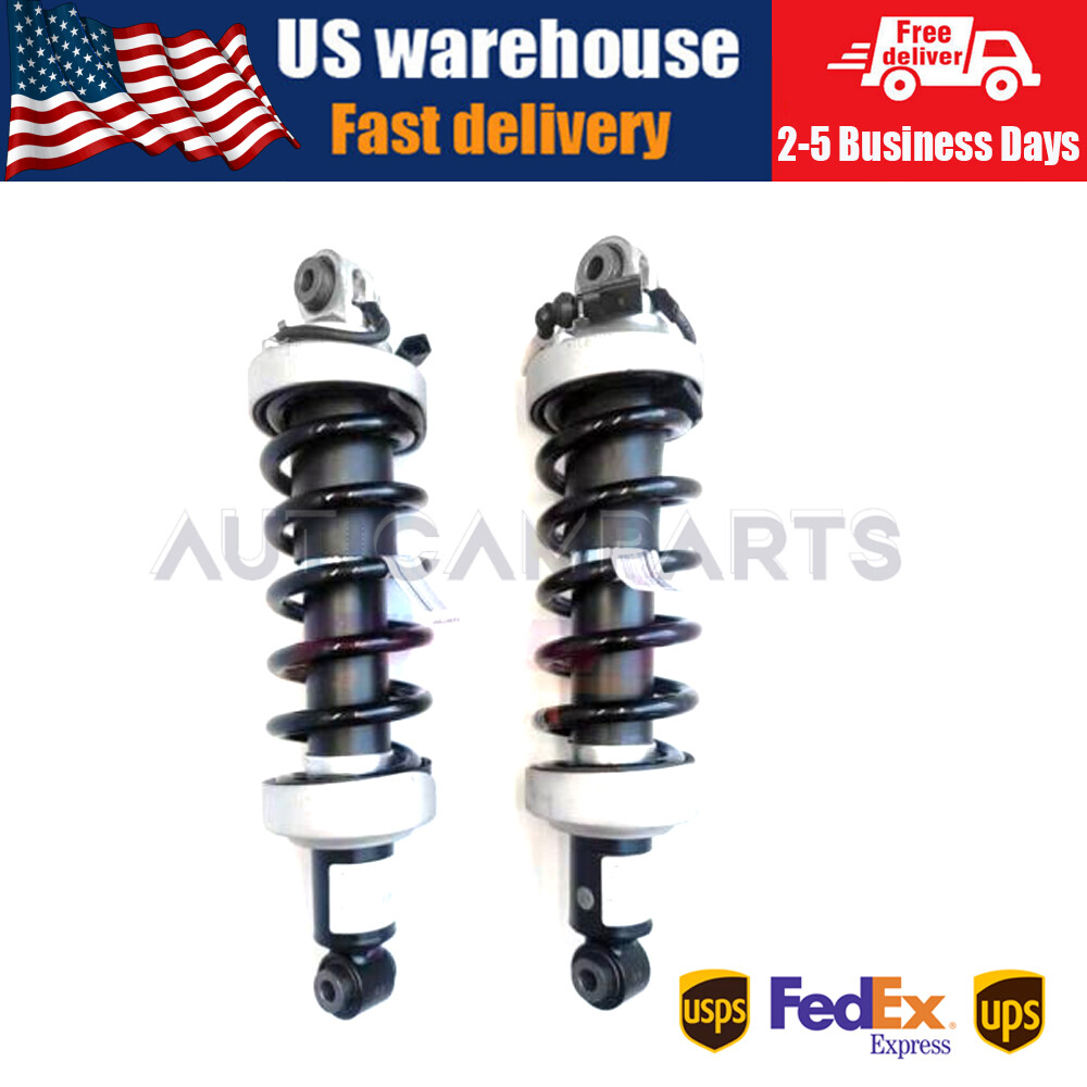 2X Rear Left Right Shock Absorber Strut MagneRide For Audi R8 V8 V10 2007-2015