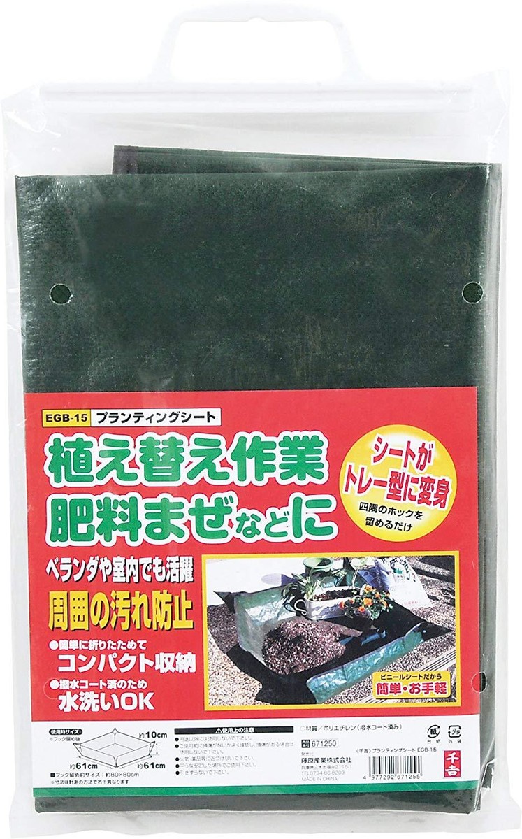 【ICHI】seed and soil Brass Roots Organic Roasted Sacha Inchi Seeds | Keto, Paleo